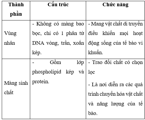 Giải Sinh học 10 Bài 7: Tế bào nhân sơ (ảnh 1)