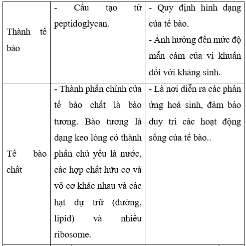 Giải Sinh học 10 Bài 7: Tế bào nhân sơ (ảnh 1)