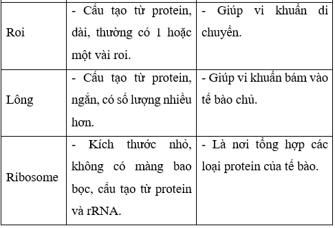 Giải Sinh học 10 Bài 7: Tế bào nhân sơ (ảnh 1)