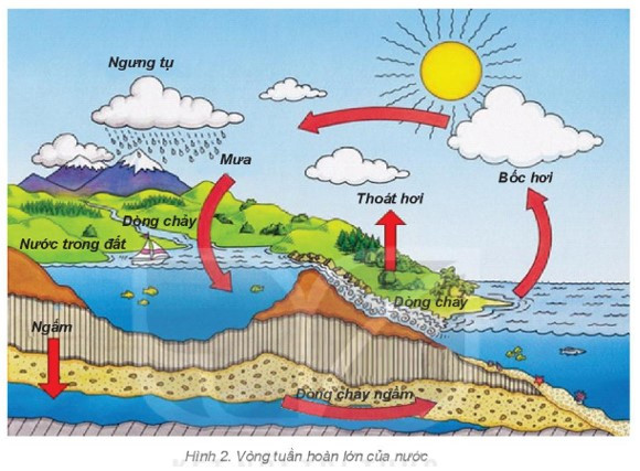 Quan sát sơ đồ hình 2 và kết hợp với hiểu biết (ảnh 1)