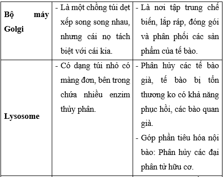 Giải Sinh học 10 Bài 8: Tế bào nhân thực (ảnh 1)