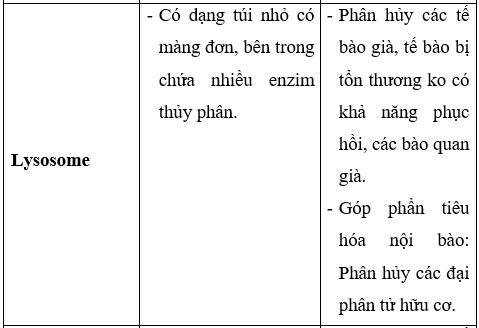 Giải Sinh học 10 Bài 8: Tế bào nhân thực (ảnh 1)