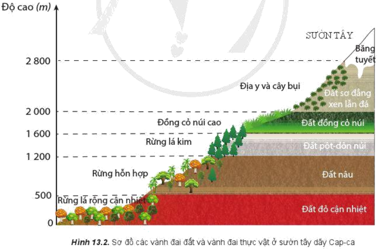 Giải Địa 10 Bài 13: Thực hành: Phân tích bản đồ, sơ đồ về phân bố của đất và sinh vật trên thế giới - Cánh diều (ảnh 1)