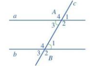 Toán 7 Bài tập ôn tập chương 4 - Cánh diều (ảnh 1)