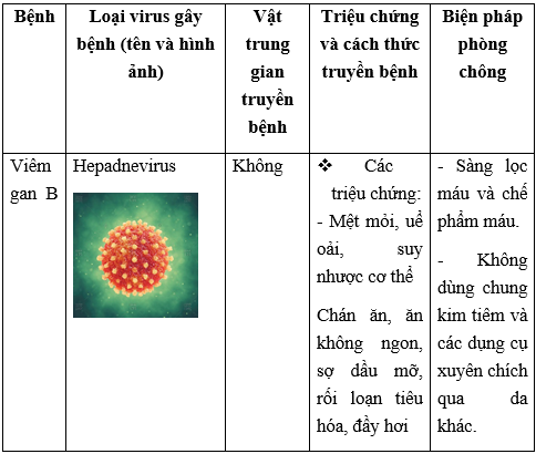 Giải Sinh học 10 Bài 26. Thực hành: điều tra một số bệnh do virus và tuyên truyền phòng chống bệnh (ảnh 1)