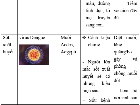 Giải Sinh học 10 Bài 26. Thực hành: điều tra một số bệnh do virus và tuyên truyền phòng chống bệnh (ảnh 1)