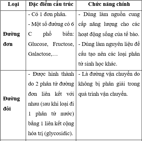 Giải Sinh học 10 Bài 5: Các phân tử sinh học (ảnh 1)