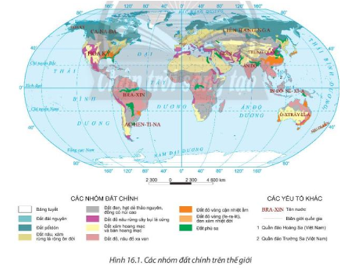 Giải Địa lí 10 Bài 16: Thực hành phân tích sự phân bố của đất và Sinh vật trên trái đất – Chân trời sáng tạo (ảnh 1)
