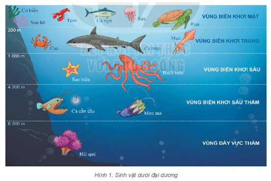 Quan sát hình 1, em hãy kể tên (ảnh 1)