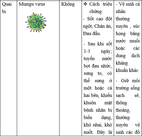 Giải Sinh học 10 Bài 26. Thực hành: điều tra một số bệnh do virus và tuyên truyền phòng chống bệnh (ảnh 1)