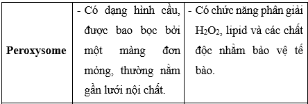 Giải Sinh học 10 Bài 8: Tế bào nhân thực (ảnh 1)