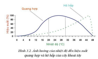 Giải Công nghệ 10 Bài 3: Mối quan hệ giữa cây trồng và các yếu tố chính trong trồng trọt - Cánh diều (ảnh 1)