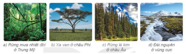 Đọc thông tin và các hình ảnh (ảnh 1)