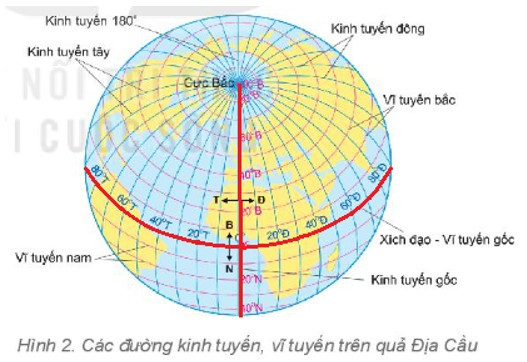 Dựa vào hình 2 và đọc thông tin (ảnh 1)