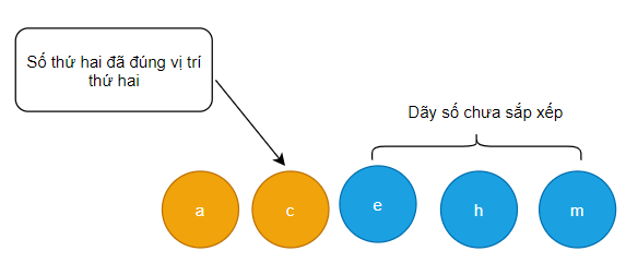 Giải Tin học 7 Bài 14: Thuật toán sắp xếp - Chân trời sáng tạo (ảnh 1)