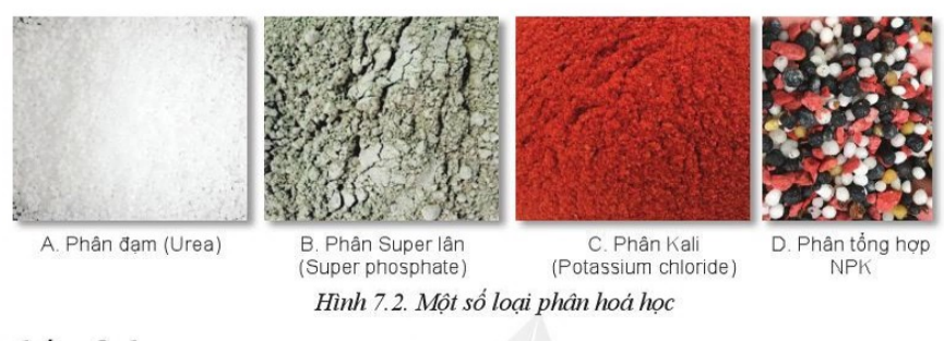 Giải Công nghệ 10 Bài 7: Một số loại phân bón thường dùng trong trồng trọt - Cánh diều (ảnh 1)