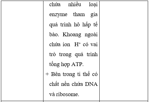 Giải Sinh học 10 Bài 8: Tế bào nhân thực (ảnh 1)