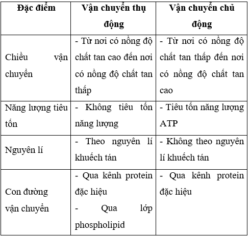 Giải Sinh học 10 Bài 10: Trao đổi chất qua màng tế bào (ảnh 1)