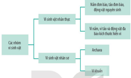 Giải Sinh học 10 Bài 20: Dự đa dạng và phương pháp nghiên cứu vi sinh vật (ảnh 1)