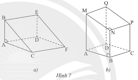 Toán 7 Bài 3: Hình lăng trụ đứng tam giác - Hình lăng trụ đứng tứ giác - Chân trời sáng tạo (ảnh 1)