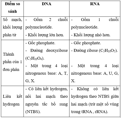 Giải Sinh học 10 Bài 5: Các phân tử sinh học (ảnh 1)