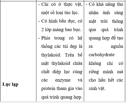 Giải Sinh học 10 Bài 8: Tế bào nhân thực (ảnh 1)