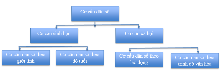 Giải Địa Lí 10 Bài 16: Dân số và gia tăng dân số. Cơ cấu dân số - Cánh diều (ảnh 1)