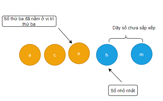 Giải Tin học 7 Bài 14: Thuật toán sắp xếp - Chân trời sáng tạo (ảnh 1)