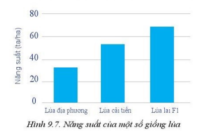 Giải Công nghệ 10 Bài 9: Giống cây trồng - Cánh diều (ảnh 1)