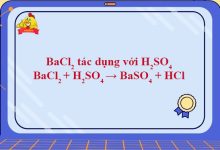 BaCl2 + H2SO4 → BaSO4 + HCl