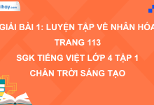 Bài 1: Luyện tập về nhân hóa trang 113 SGK Tiếng Việt 4 tập 1 Chân trời sáng tạo>