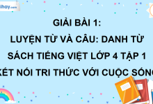 Bài 1: Luyện từ và câu: Danh từ trang 9 SGK Tiếng Việt lớp 4 tập 1 Kết nối tri thức với cuộc sống>