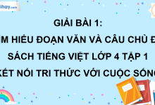 Bài 1: Tìm hiểu đoạn văn và câu chủ đề trang 10 SGK Tiếng Việt lớp 4 tập 1 Kết nối tri thức với cuộc sống>