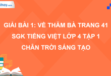 Bài 1: Về thăm bà trang 41 SGK Tiếng Việt 4 tập 1 Chân trời sáng tạo>