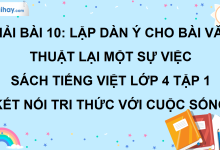 Bài 10: Lập dàn ý cho bài văn thuật lại một sự việc trang 46 SGK Tiếng Việt lớp 4 tập 1 Kết nối tri thức với cuộc sống>