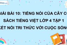 Bài 10: Tiếng nói của cỏ cây trang 44 SGK Tiếng Việt lớp 4 tập 1 Kết nối tri thức với cuộc sống>