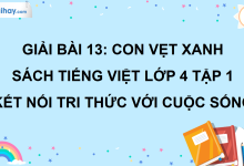Bài 13: Con vẹt xanh trang 55 SGK Tiếng Việt lớp 4 tập 1 Kết nối tri thức với cuộc sống>