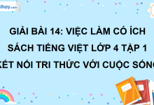 Bài 14: Việc làm có ích trang 62 SGK Tiếng Việt lớp 4 tập 1 Kết nối tri thức với cuộc sống>