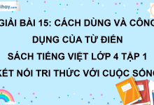 Bài 15: Cách dùng và công dụng của từ điển trang 64 SGK Tiếng Việt lớp 4 tập 1 Kết nối tri thức với cuộc sống>