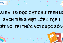 Bài 15: Gặt chữ trên non trang 63 SGK Tiếng Việt lớp 4 tập 1 Kết nối tri thức với cuộc sống>