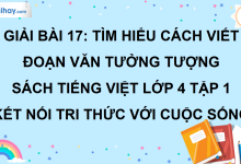 Bài 17: Tìm hiểu cách viết đoạn văn tưởng tượng trang 79 SGK Tiếng Việt lớp 4 tập 1 Kết nối tri thức với cuộc sống>