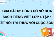 Bài 18: Đồng cỏ nở hoa trang 81 SGK Tiếng Việt lớp 4 tập 1 Kết nối tri thức với cuộc sống>