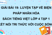 Bài 19: Luyện tập về biện pháp nhân hóa trang 87 SGK Tiếng Việt lớp 4 tập 1 Kết nối tri thức với cuộc sống>