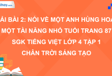 Bài 2: Nói về một anh hùng hoặc một tài năng nhỏ tuổi trang 87 SGK Tiếng Việt 4 tập 1 Chân trời sáng tạo>