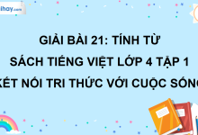 Bài 21: Tính từ trang 94 SGK Tiếng Việt lớp 4 tập 1 Kết nối tri thức với cuộc sống>