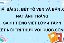 Bài 23: Bét-tô-ven và bản xô-nát Ánh trăng trang 101 SGK Tiếng Việt lớp 4 tập 1 Kết nối tri thức với cuộc sống>