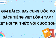 Bài 25: Bay cùng ước mơ trang 109 SGK Tiếng Việt lớp 4 tập 1 Kết nối tri thức với cuộc sống>