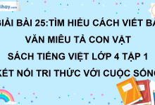Bài 25: Tìm hiểu cách viết bài văn miêu tả con vật trang 112 SGK Tiếng Việt lớp 4 tập 1 Kết nối tri thức với cuộc sống>