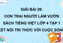 Bài 26: Con trai người làm vườn trang 114 SGK Tiếng Việt lớp 4 tập 1 Kết nối tri thức với cuộc sống>