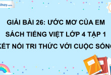 Bài 26: Ước mơ của em trang 117 SGK Tiếng Việt lớp 4 tập 1 Kết nối tri thức với cuộc sống>